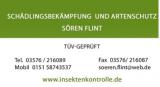 Bild zu Holzschutz und Schdlingsbekmpfung